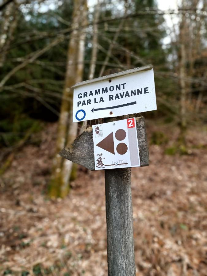 Gite De La Ravanne Ramonchamp Exterior photo